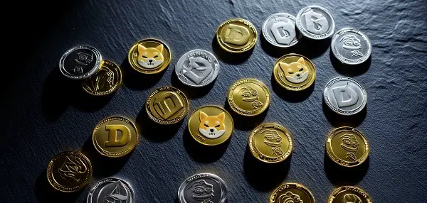 각종 밈코인