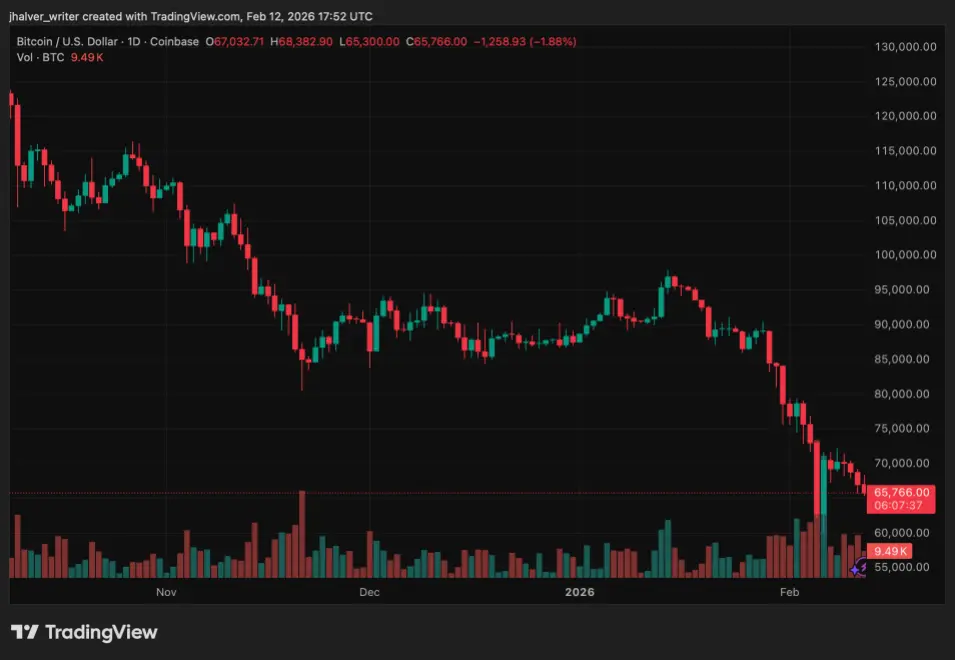 Bitcoin crypto BTC BTCUSD BTCUSD_2026-02-12_18-52-23