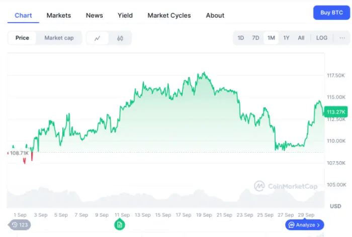 Kinerja harga Bitcoin satu bulan, sumber: CoinMarketCap