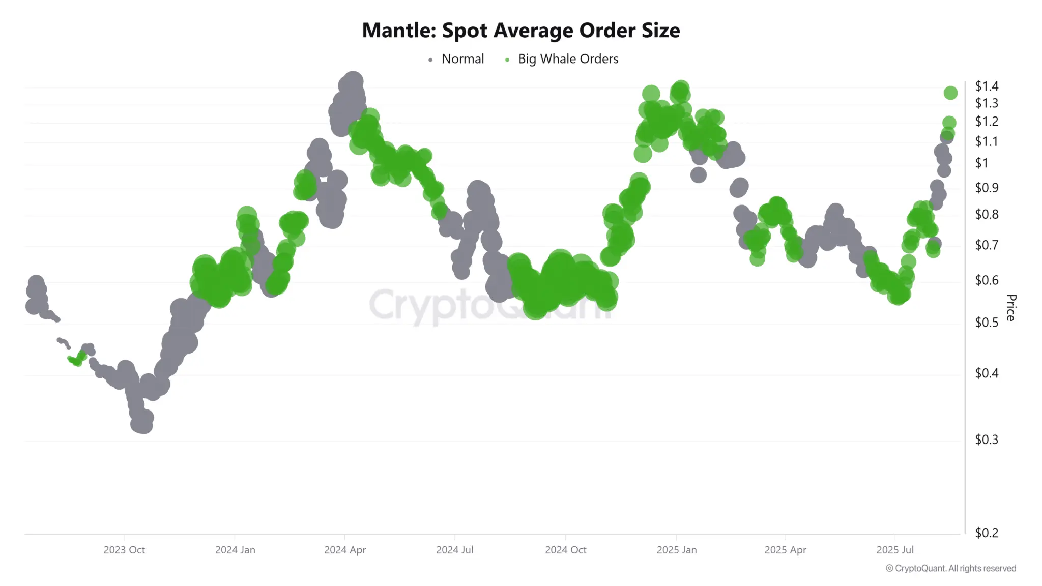 L'activité des baleines peut stimuler le MNT pour prendre des bénéfices