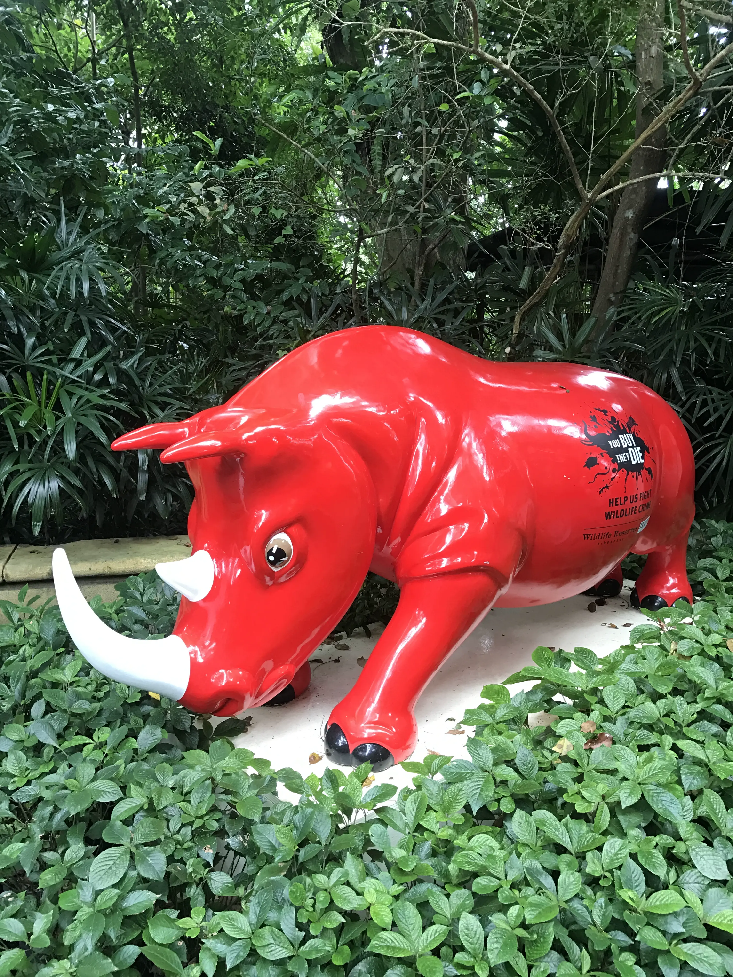 repost-content-media