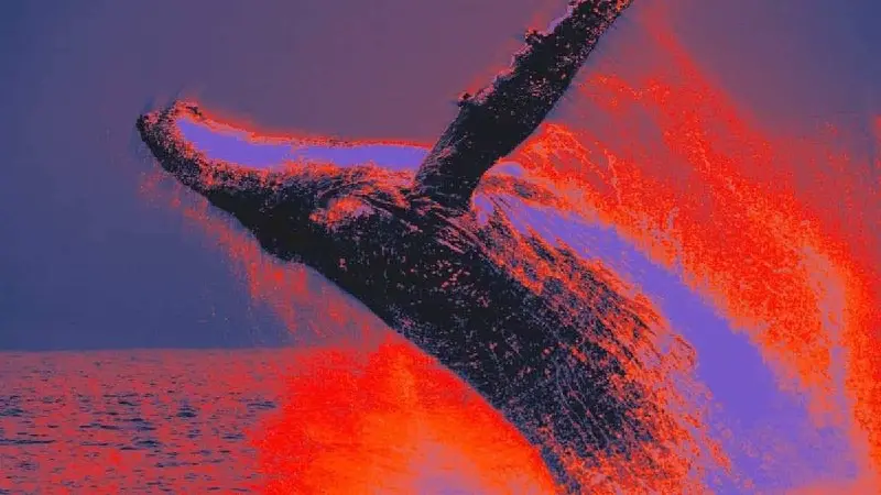 post-image