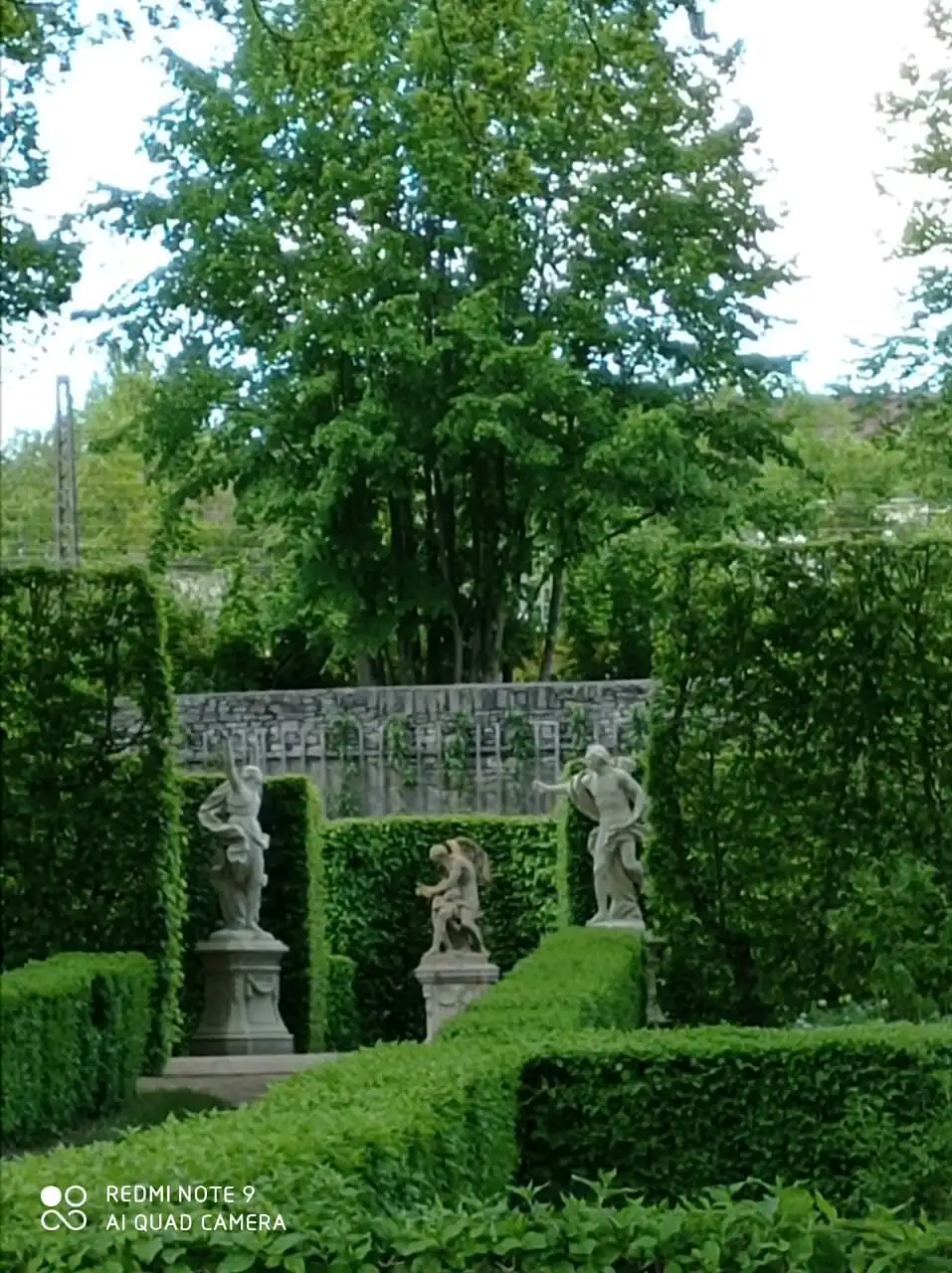 post-image