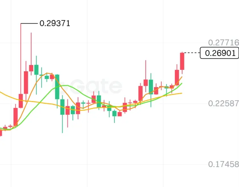 repost-content-media