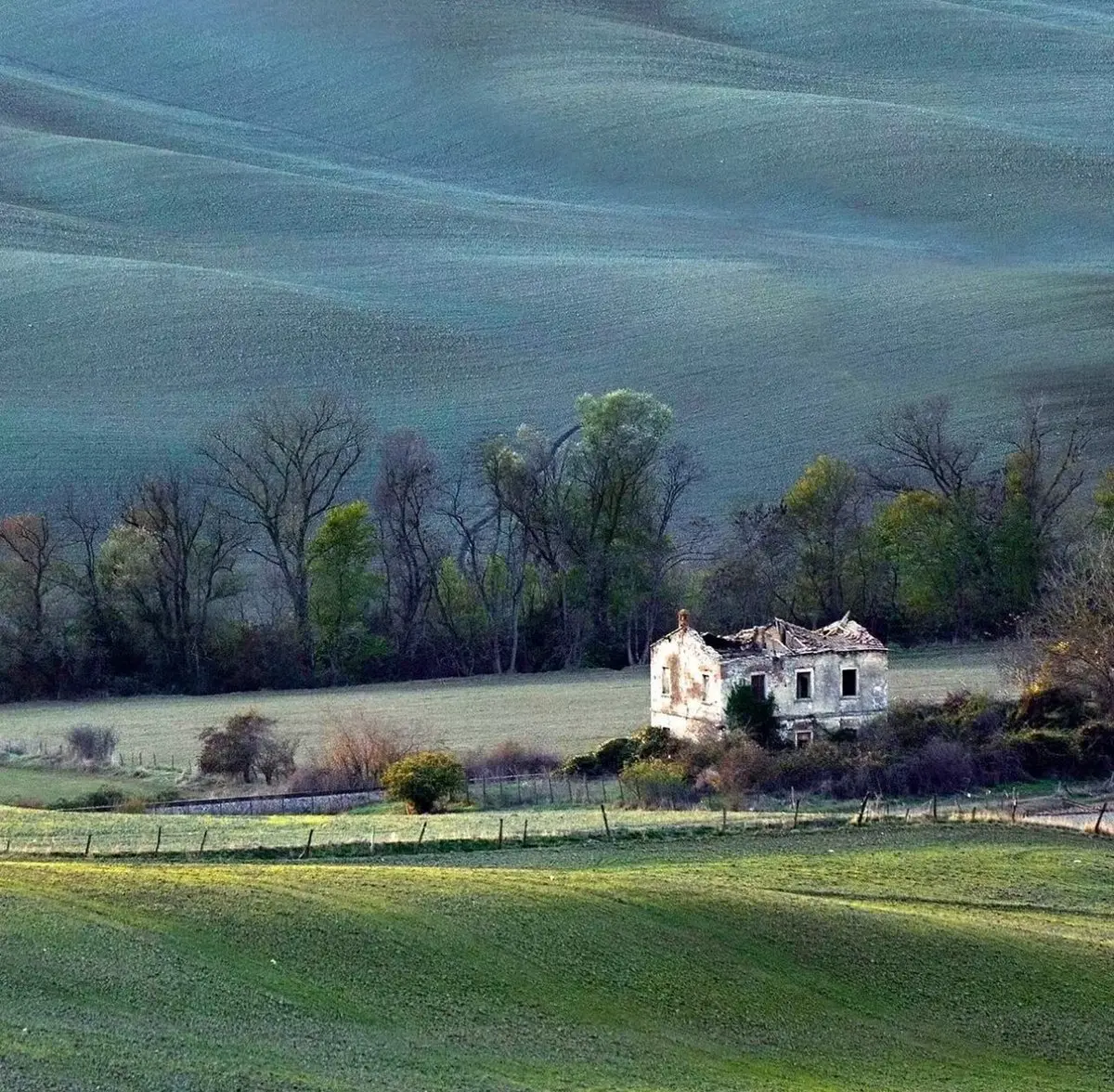 post-image