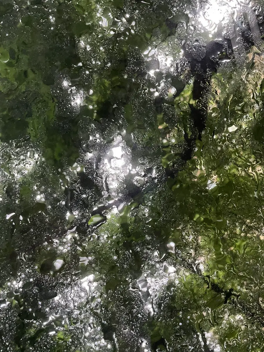 post-image