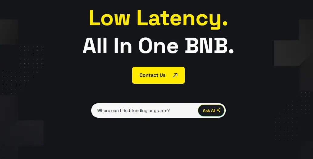 BNB chain and features.
