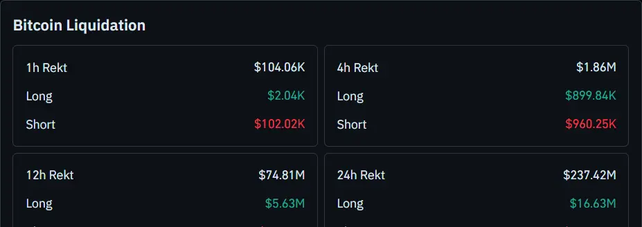 Bitcoin Liquidation Data
