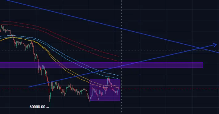 repost-content-media