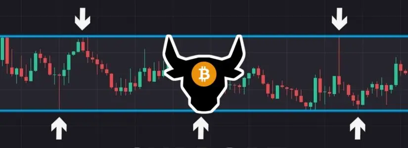 Những nhà đầu tư Bitcoin dài hạn mua vào 800K Coin trong một tháng