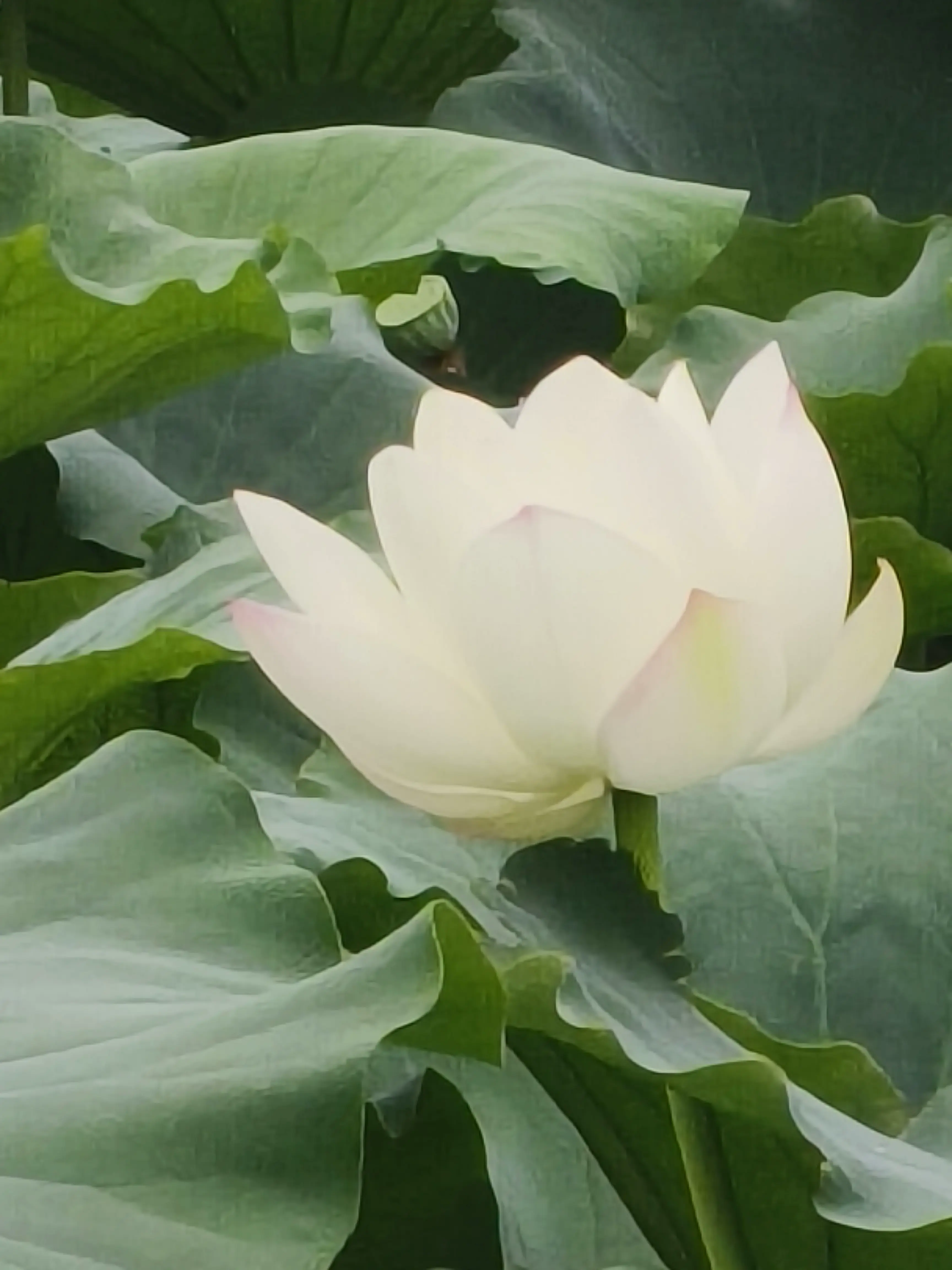 post-image