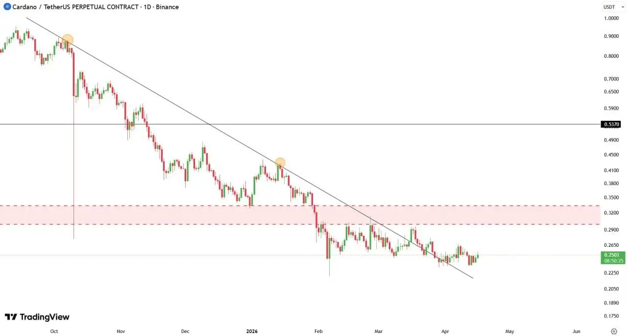 repost-content-media