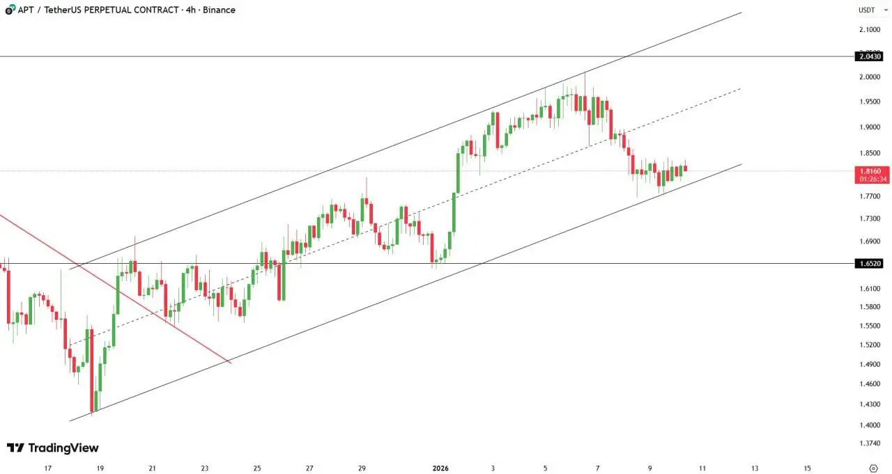 repost-content-media