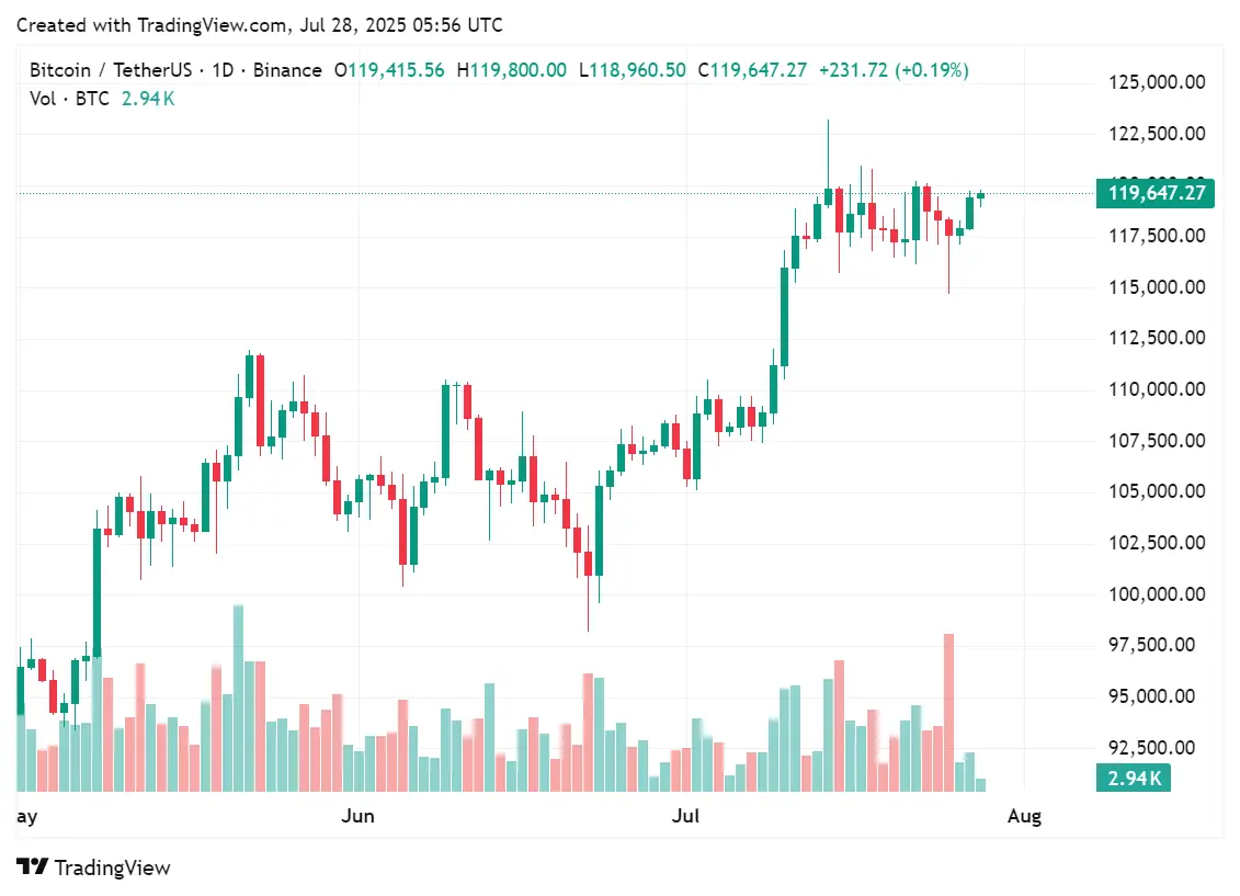 Graphique des prix pour BTC au cours des derniers mois, 28 juillet 2025 | Source : crypto.news