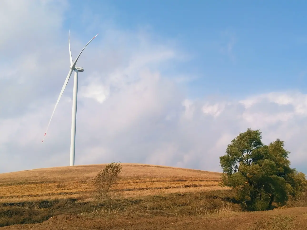 repost-content-media