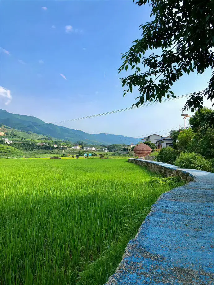 repost-content-media