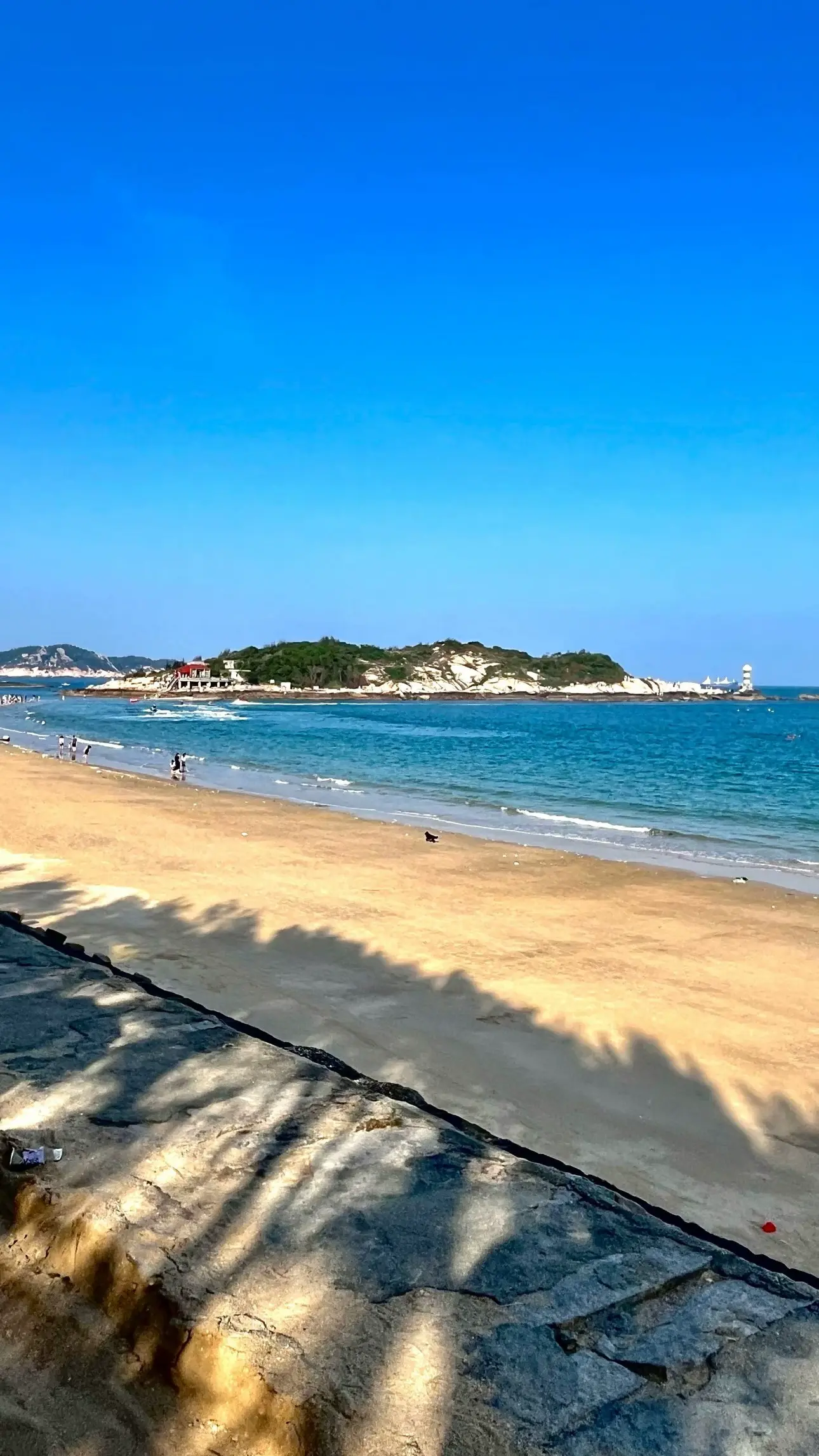 repost-content-media