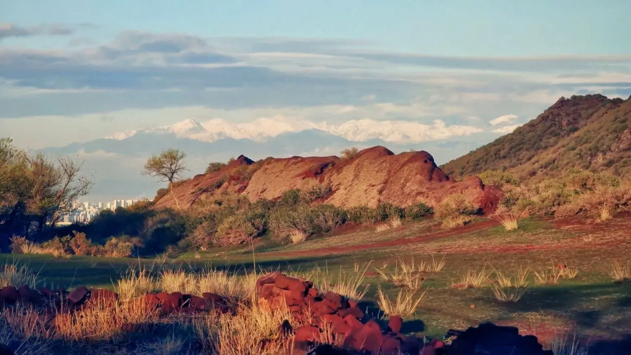 repost-content-media