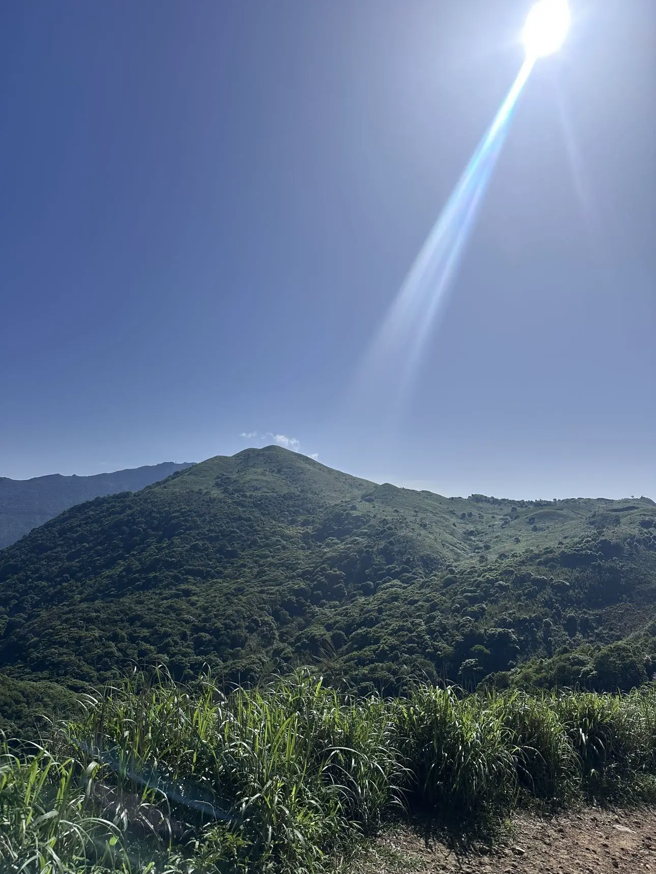 repost-content-media