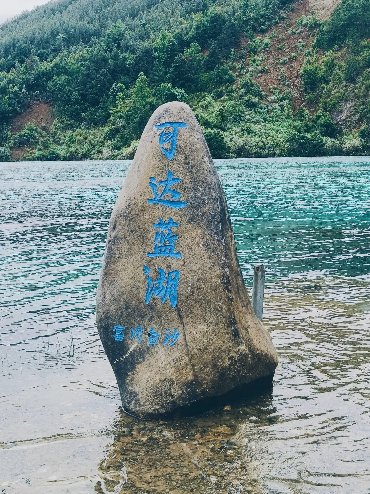 repost-content-media