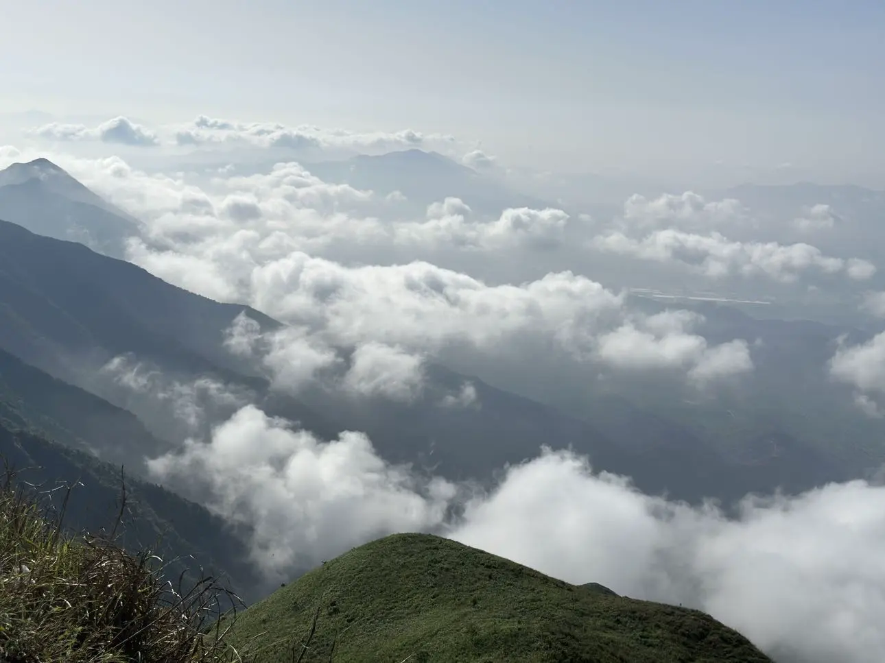 repost-content-media