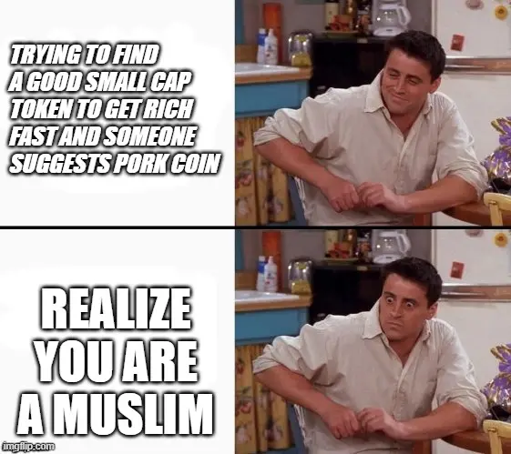 Moeda PORK