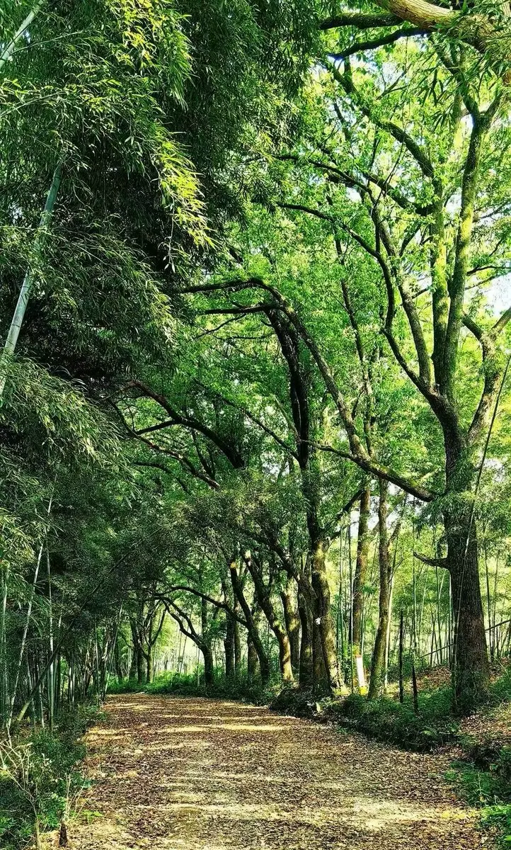 post-image