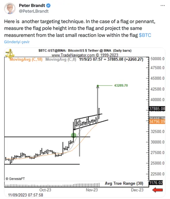 Peter Brandt BTC analizi